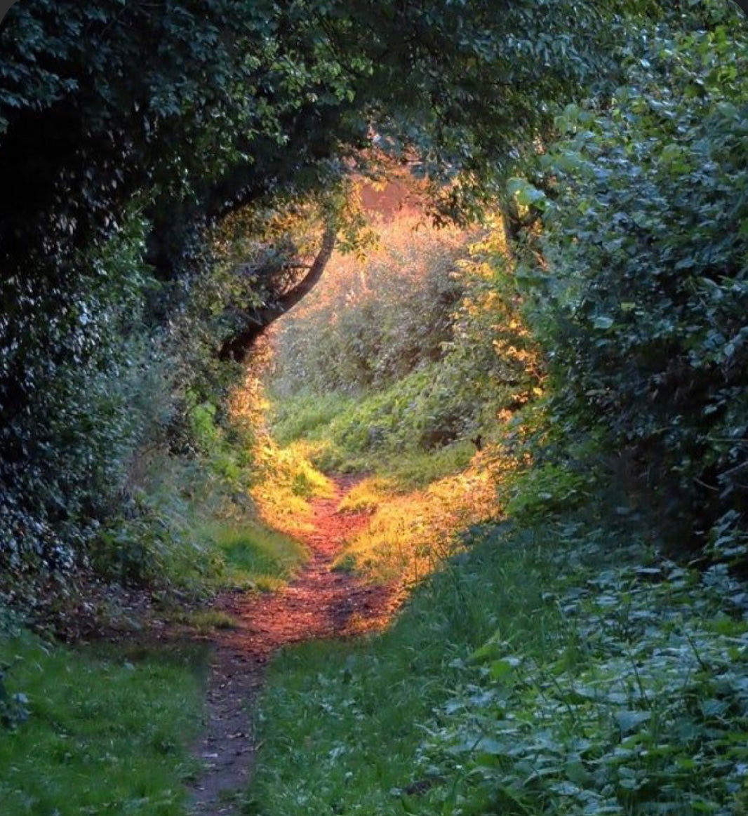Unveil your Authentic Path